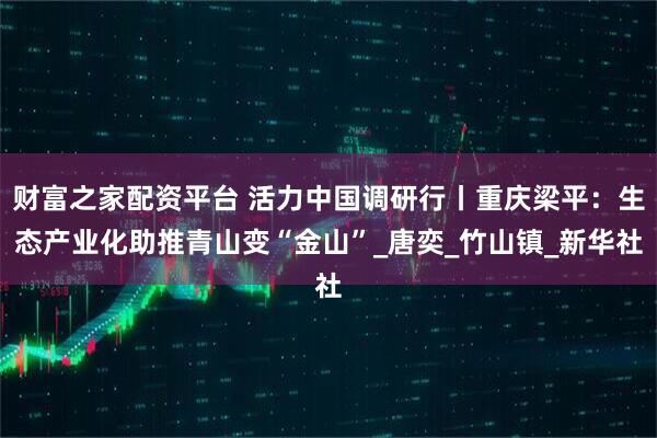 财富之家配资平台 活力中国调研行丨重庆梁平：生态产业化助推青山变“金山”_唐奕_竹山镇_新华社
